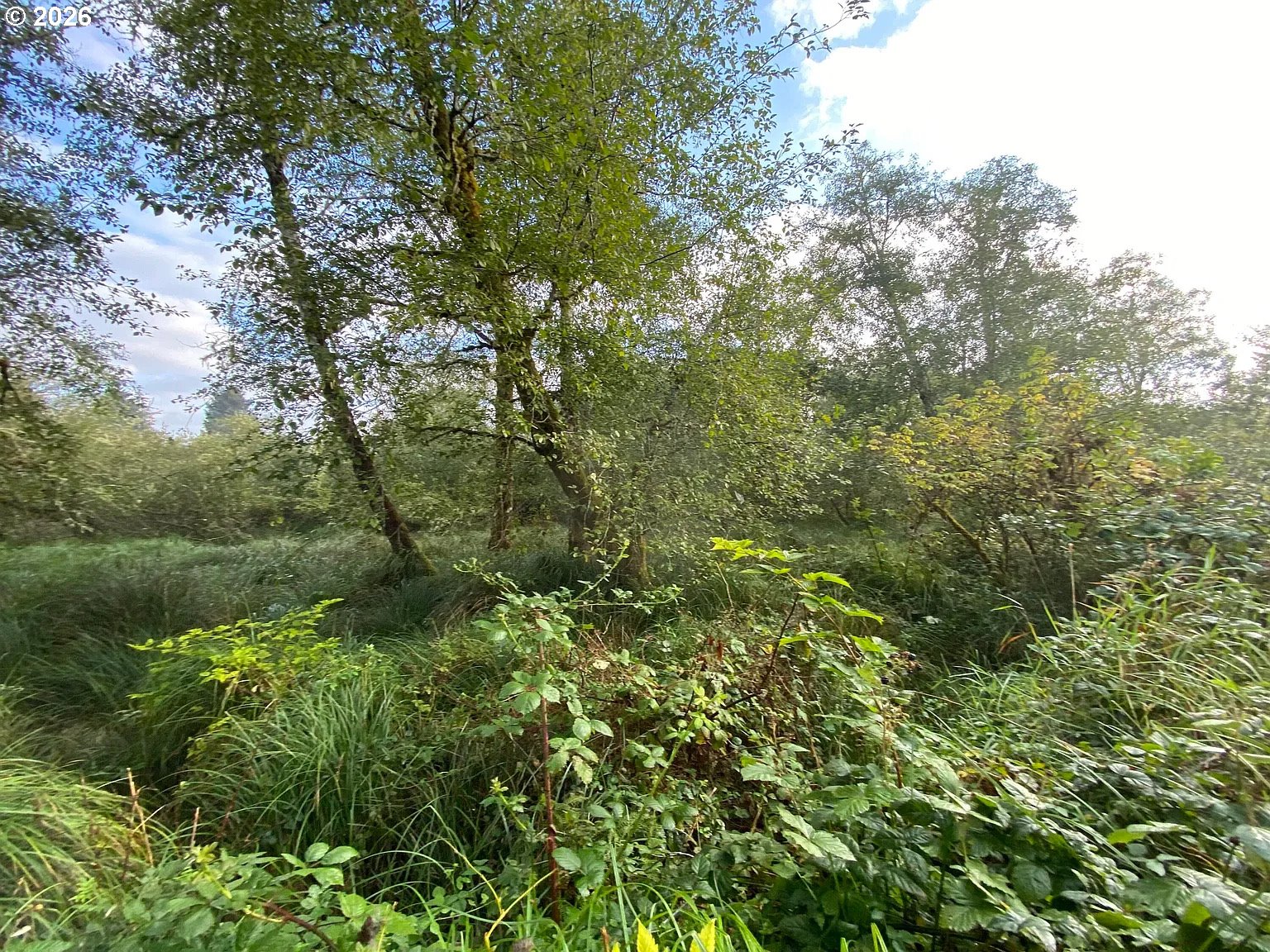 NNA Dellmoor Loop