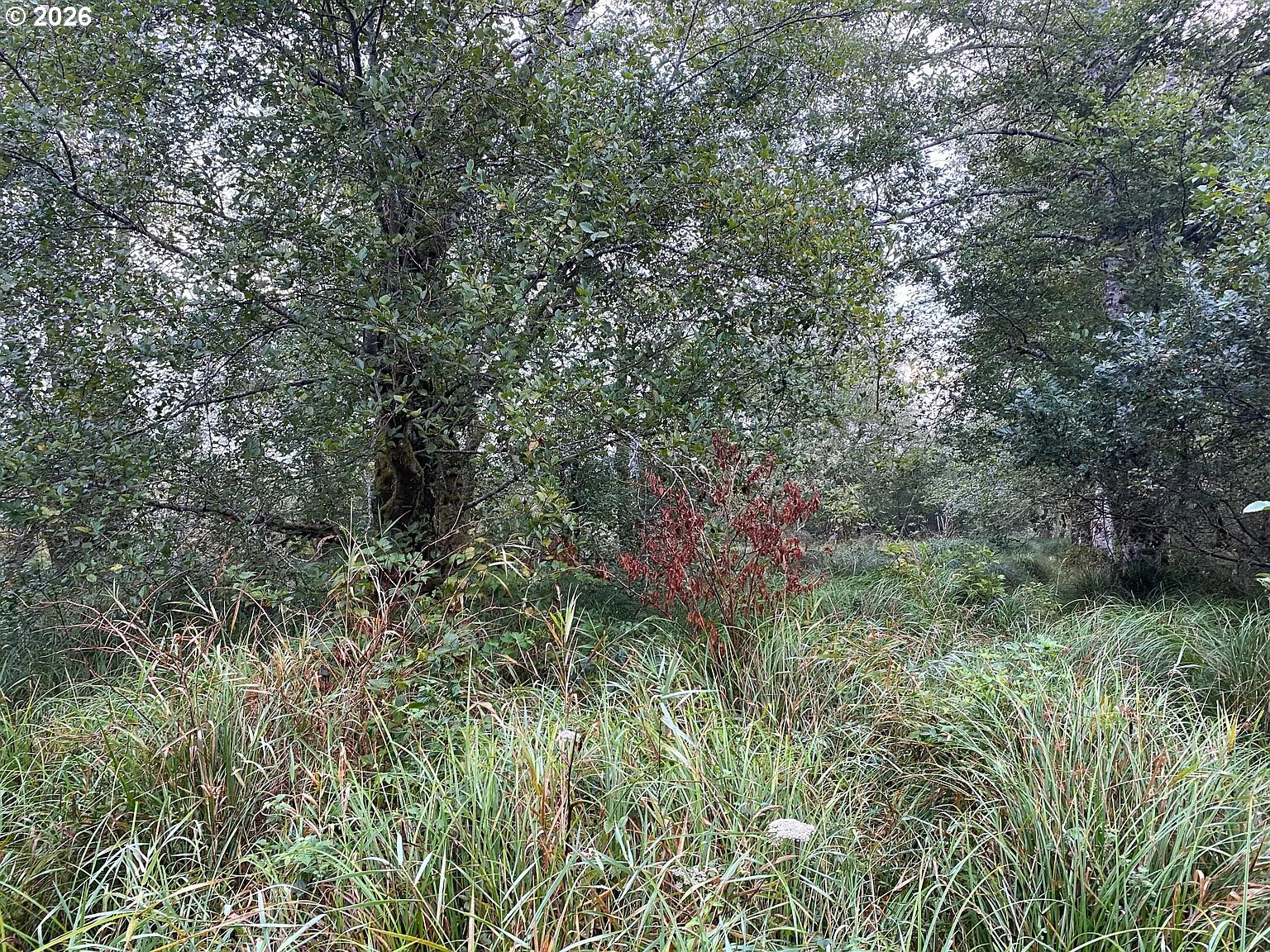 NNA Dellmoor Loop