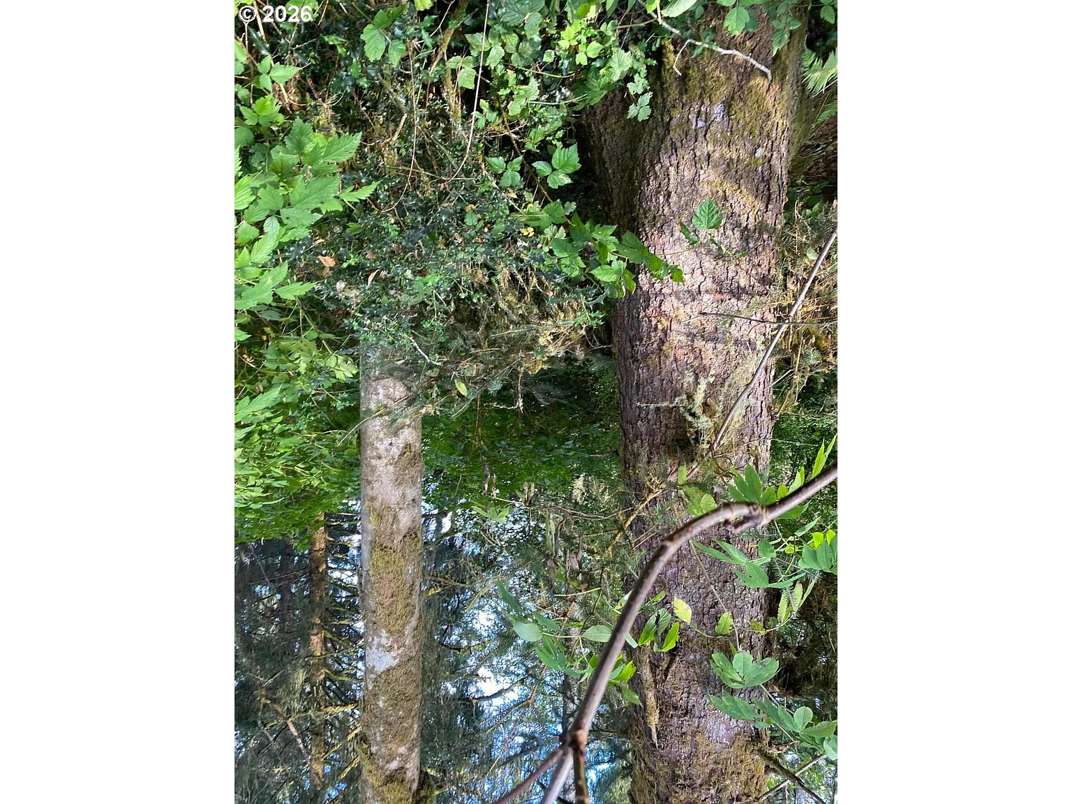 NNA Dellmoor Loop