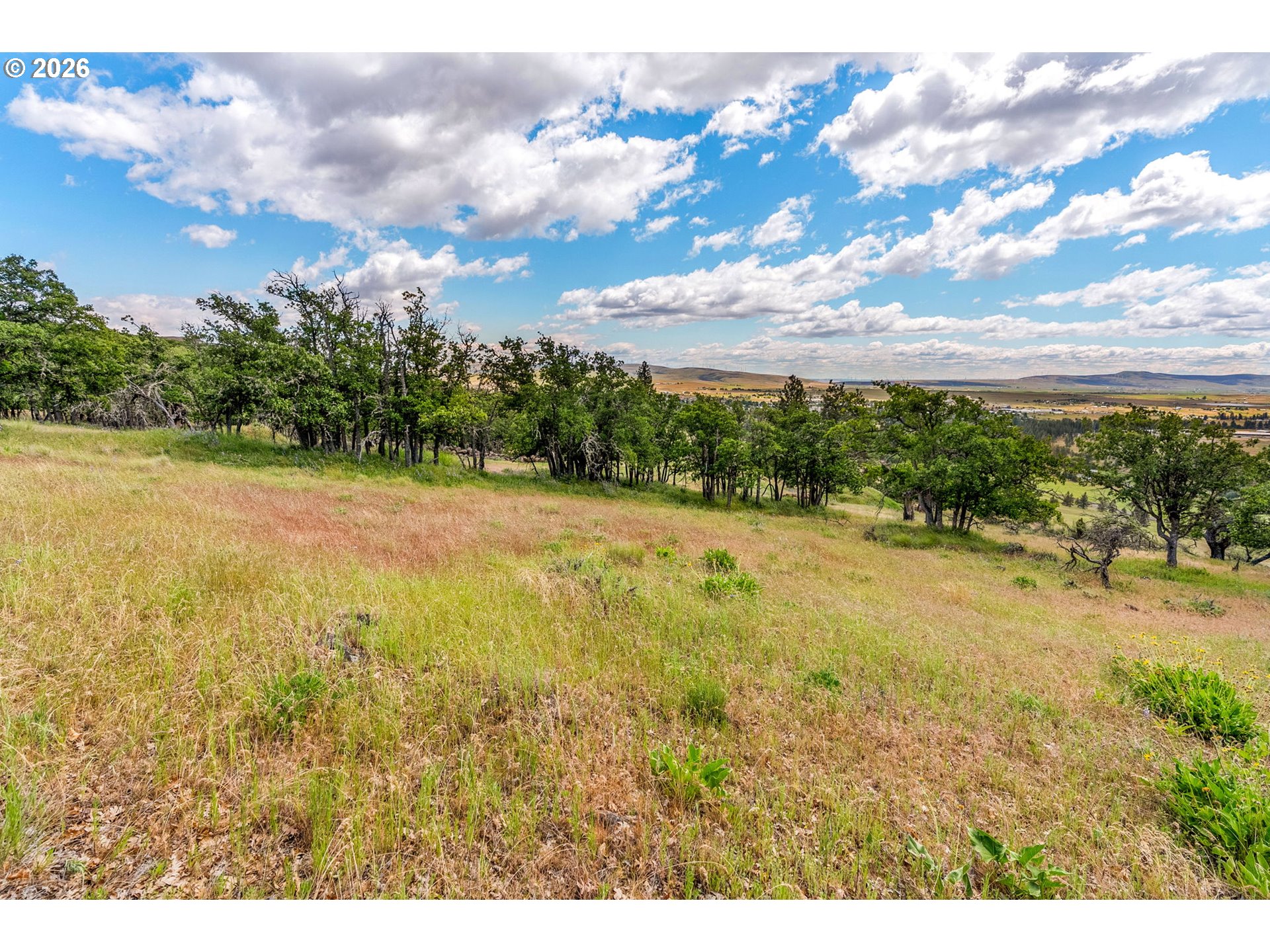 125 EAGLE DR 18/19