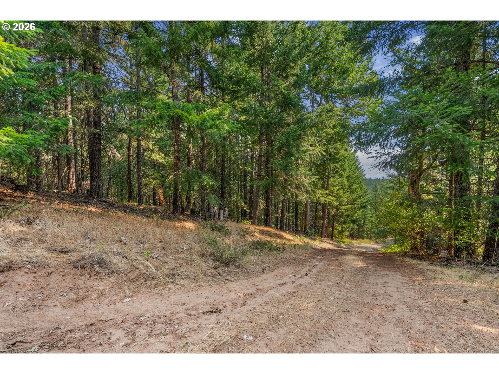 Lyle Snowden RD