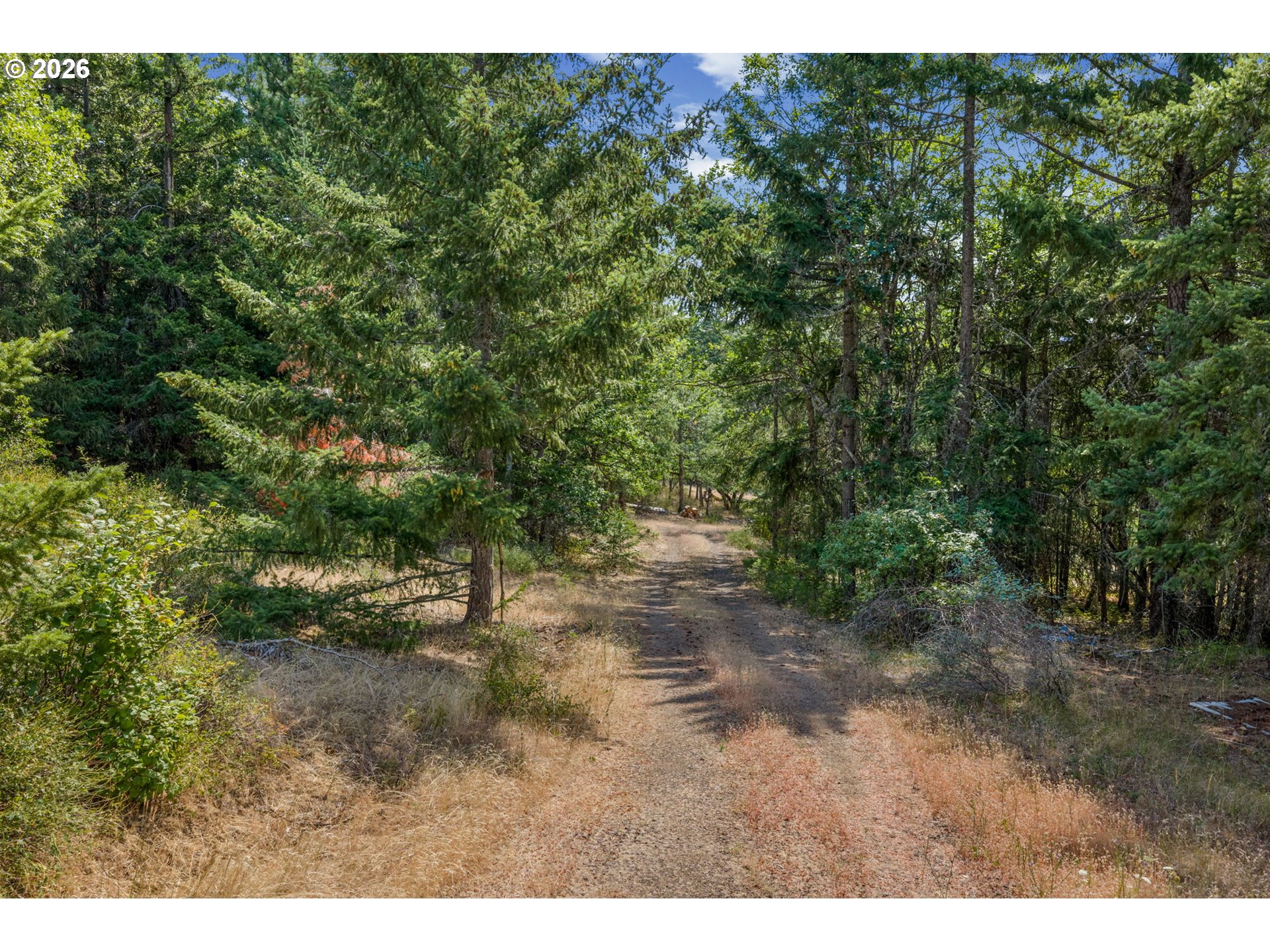 Lyle Snowden RD