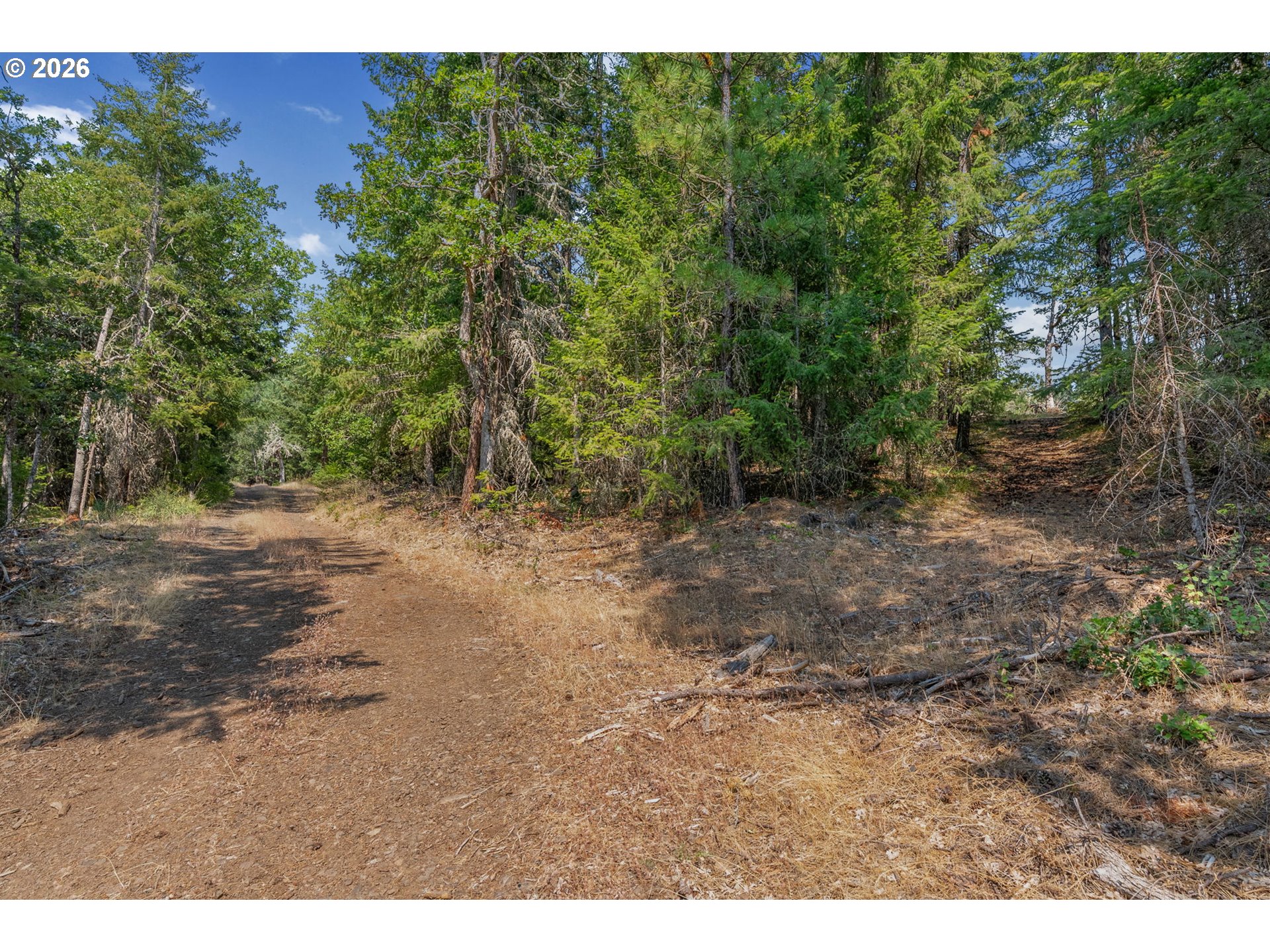 Lyle Snowden RD