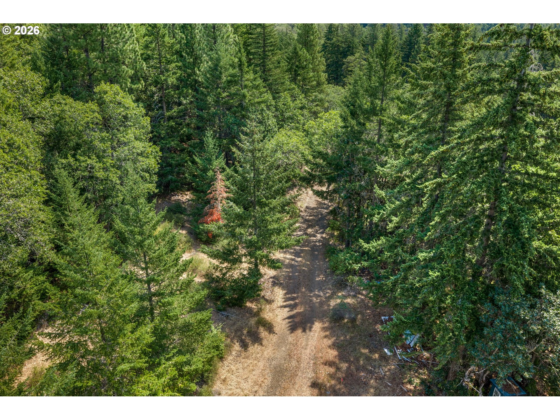 Lyle Snowden RD
