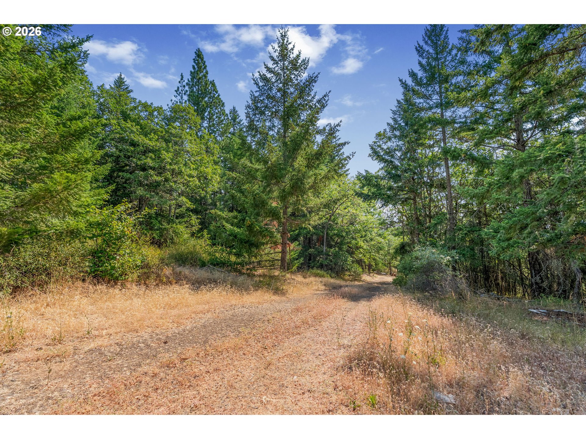 Lyle Snowden RD