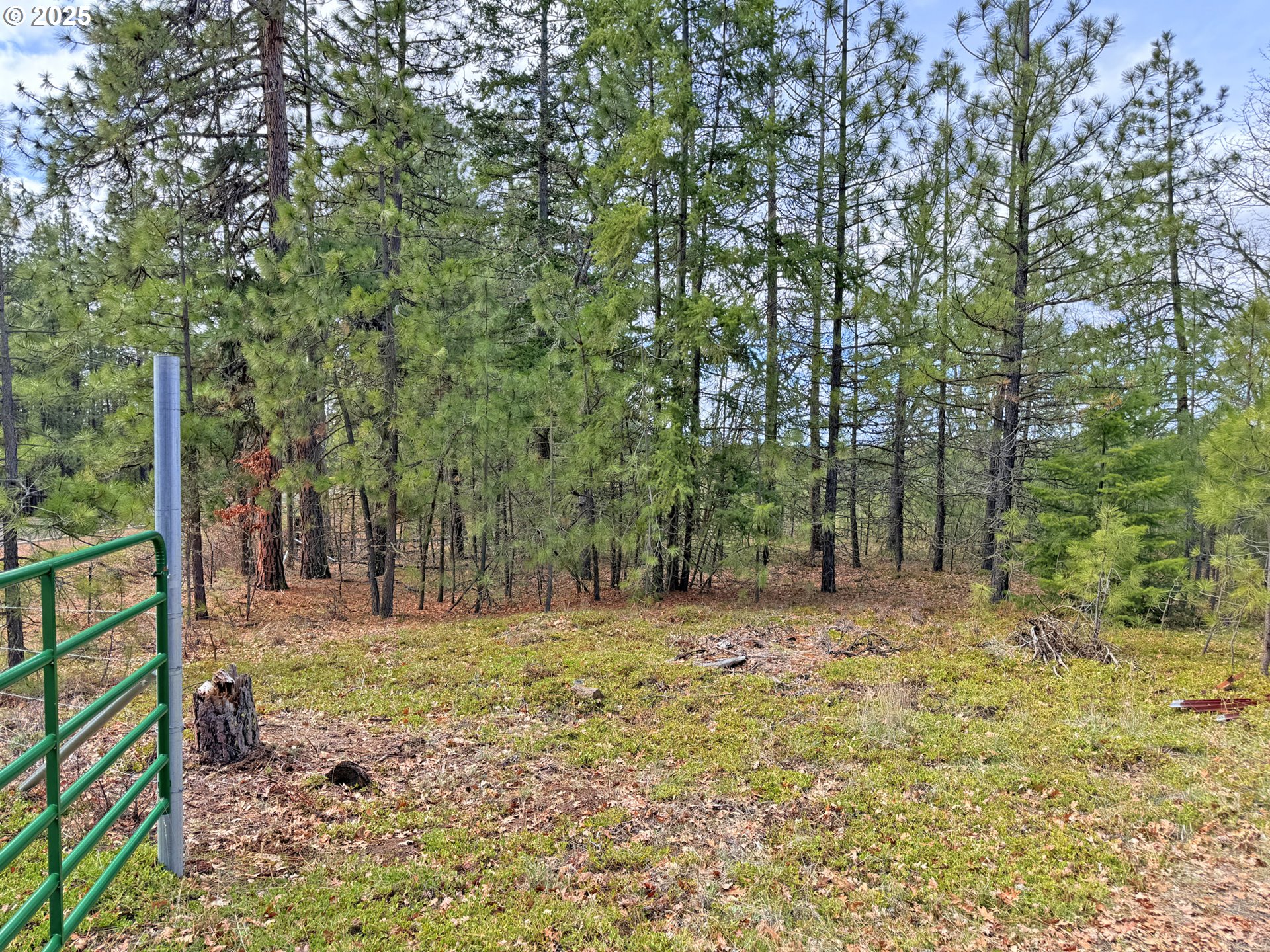 761 Pine Forest RD