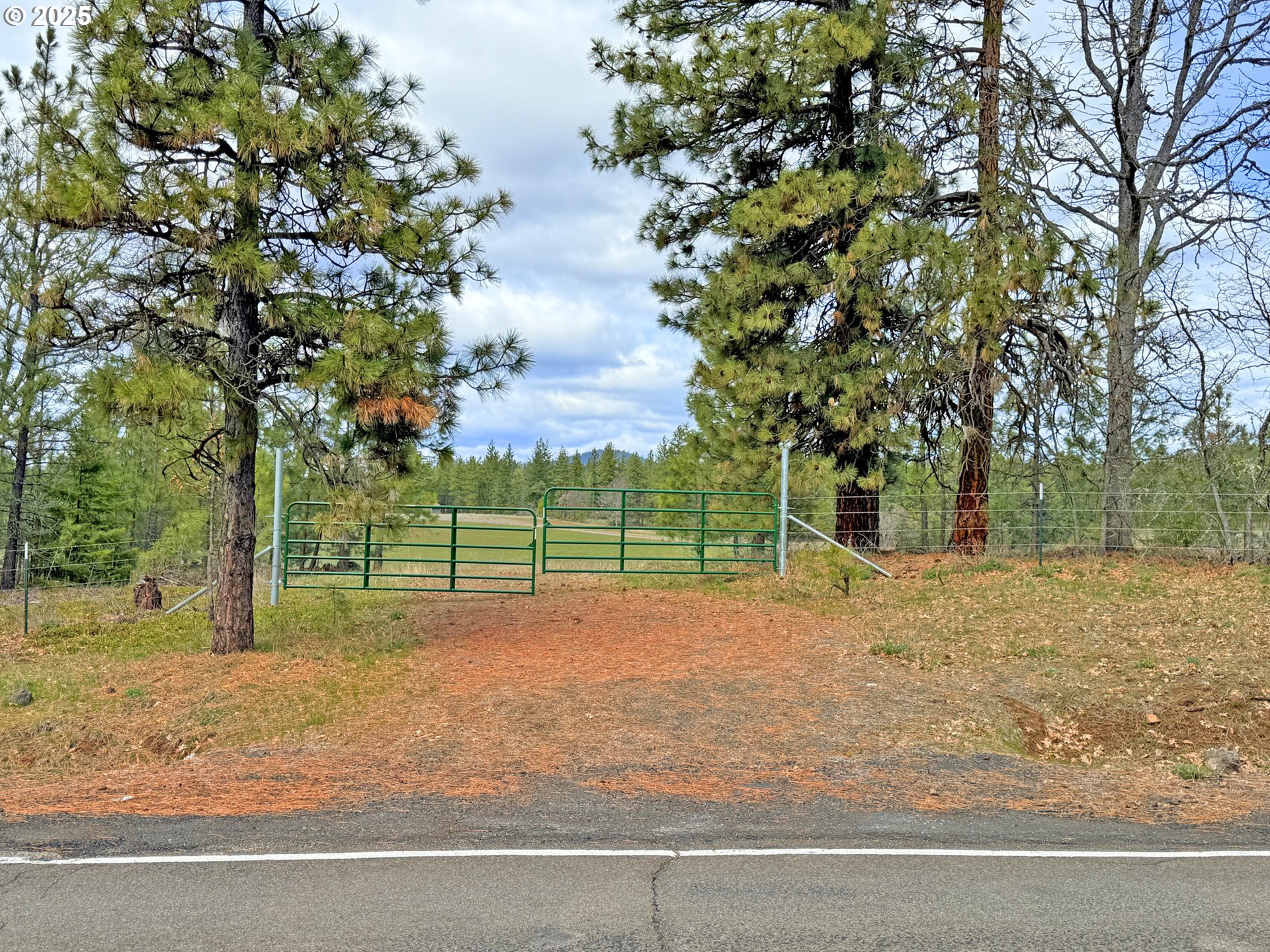 761 Pine Forest RD