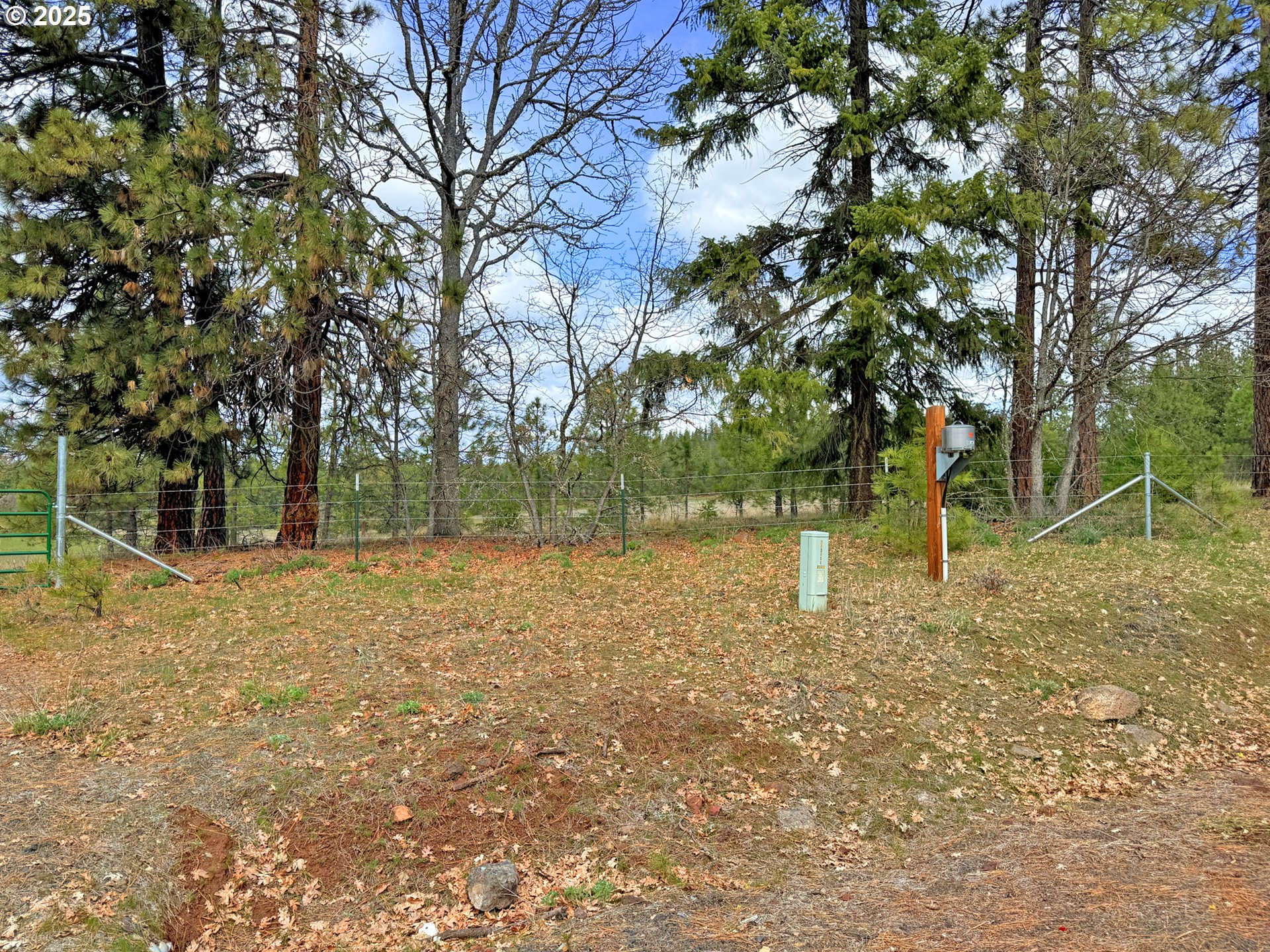 761 Pine Forest RD