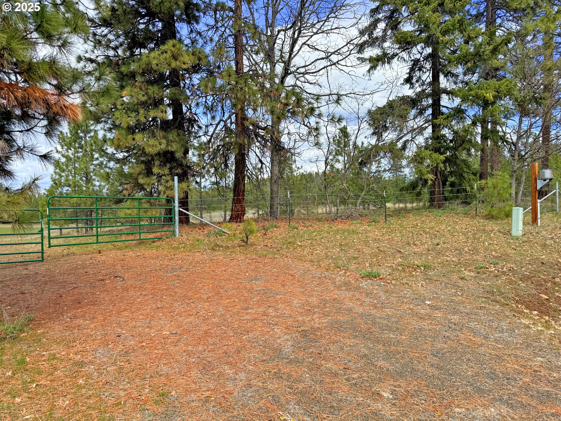 761 Pine Forest RD