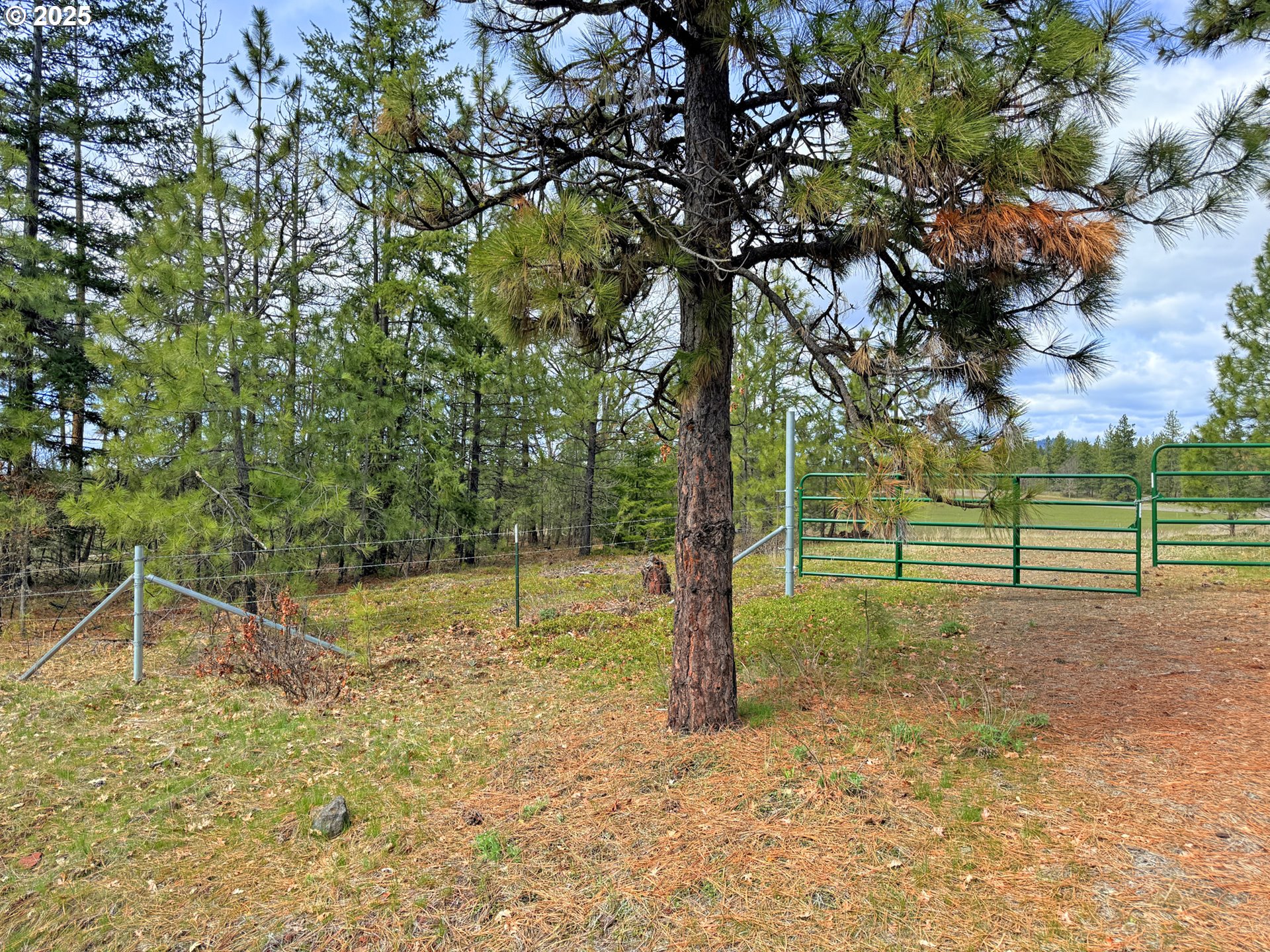 761 Pine Forest RD