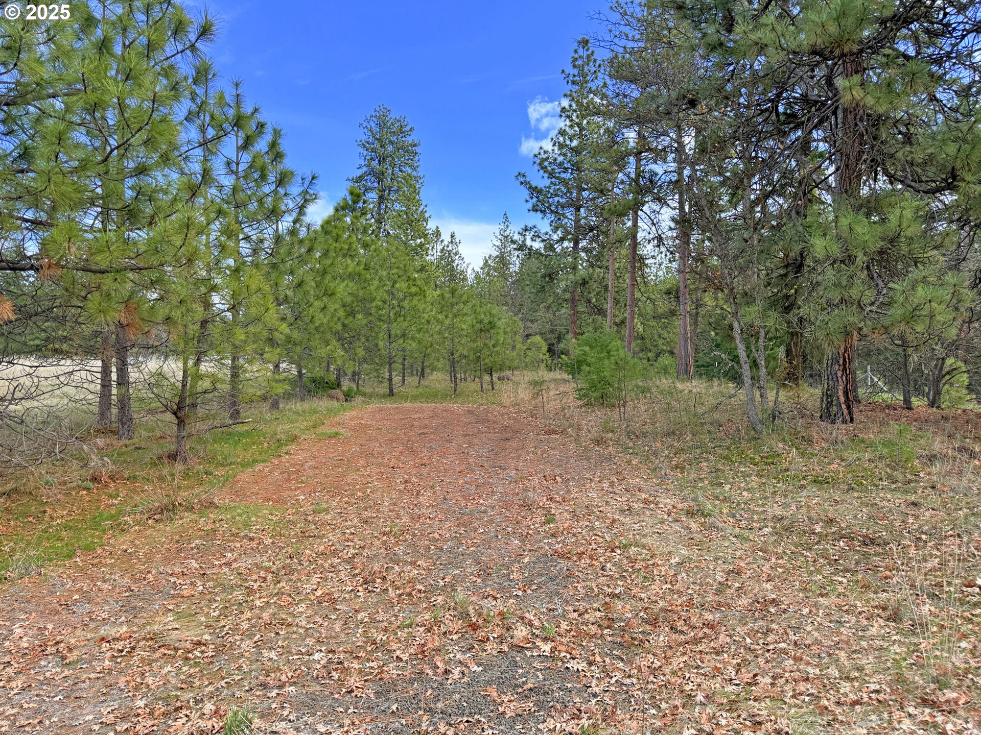 761 Pine Forest RD