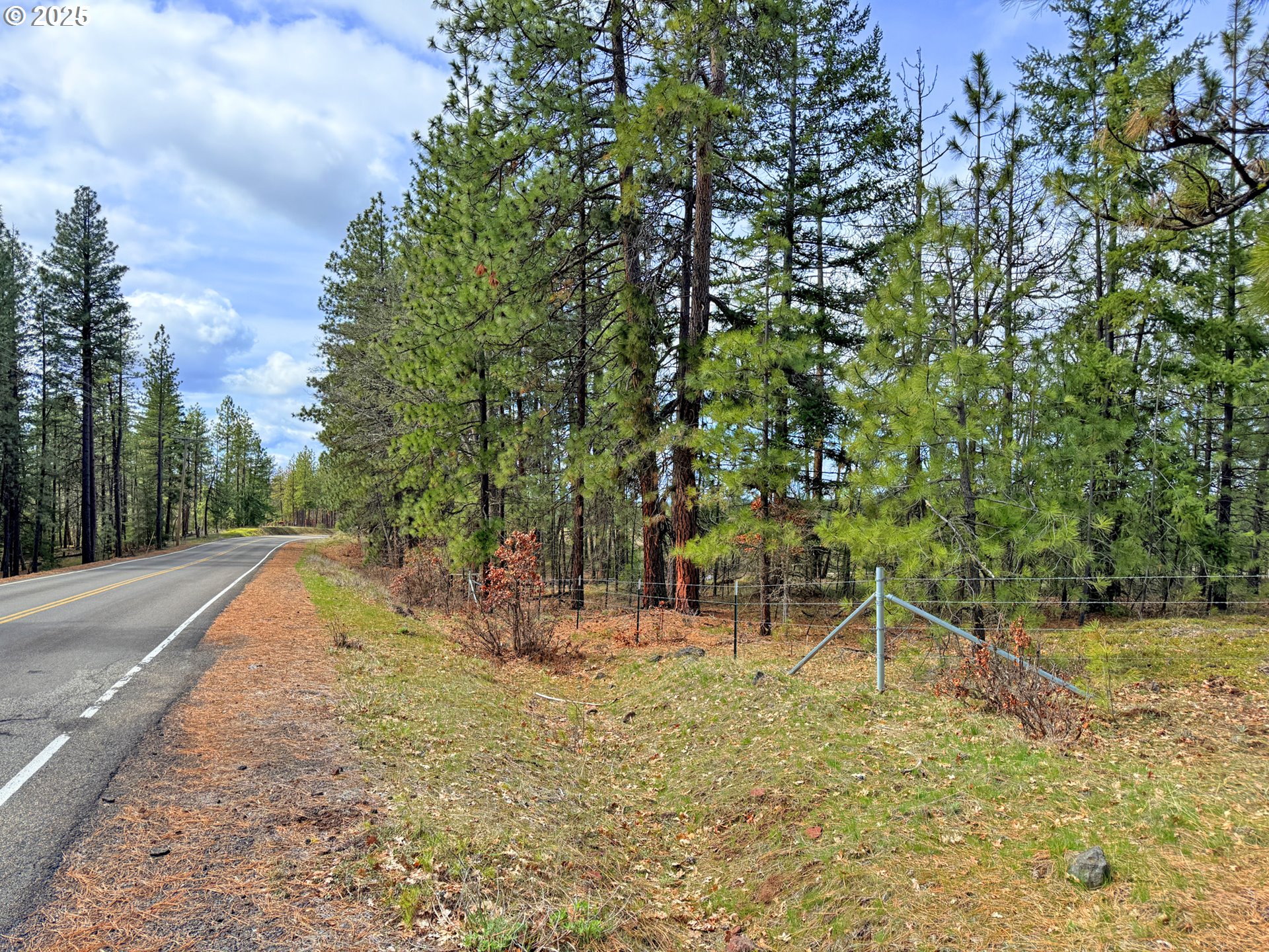 761 Pine Forest RD