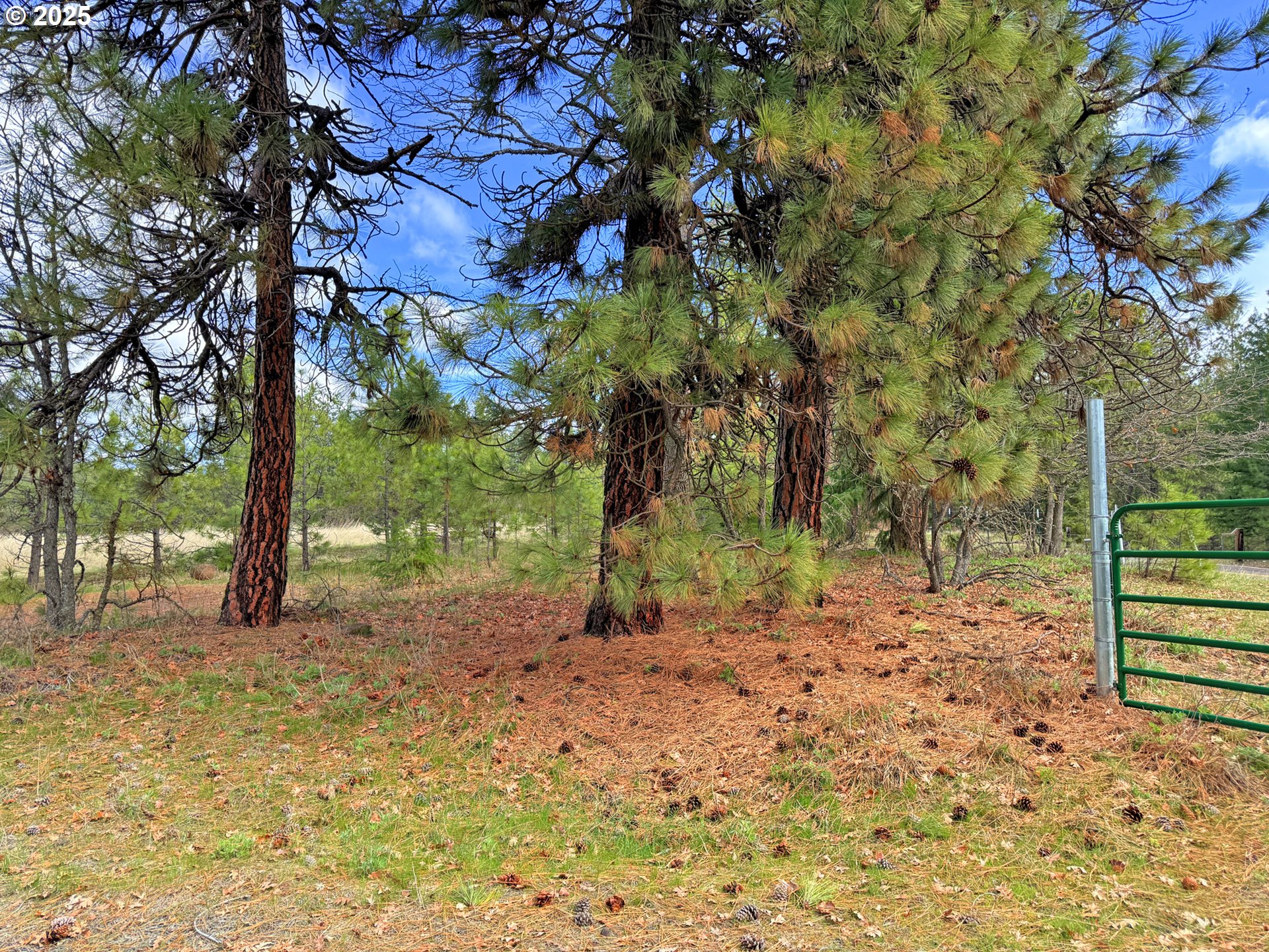 761 Pine Forest RD