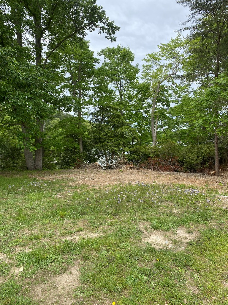 Map #17- Whittstat Lane