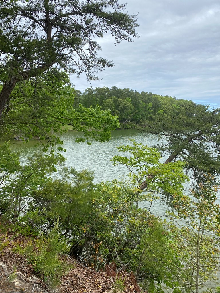 Map #17- Whittstat Lane