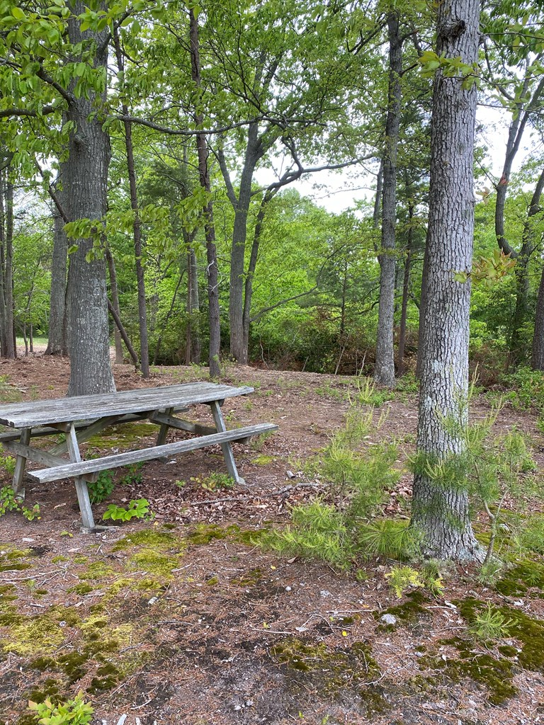 Map #17- Whittstat Lane