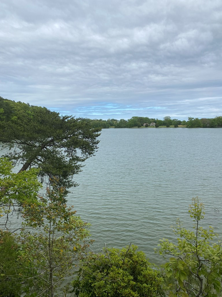 Map #17- Whittstat Lane