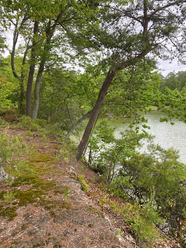 Map #17- Whittstat Lane