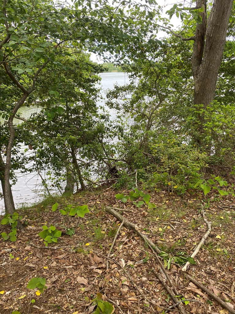 Map #17- Whittstat Lane