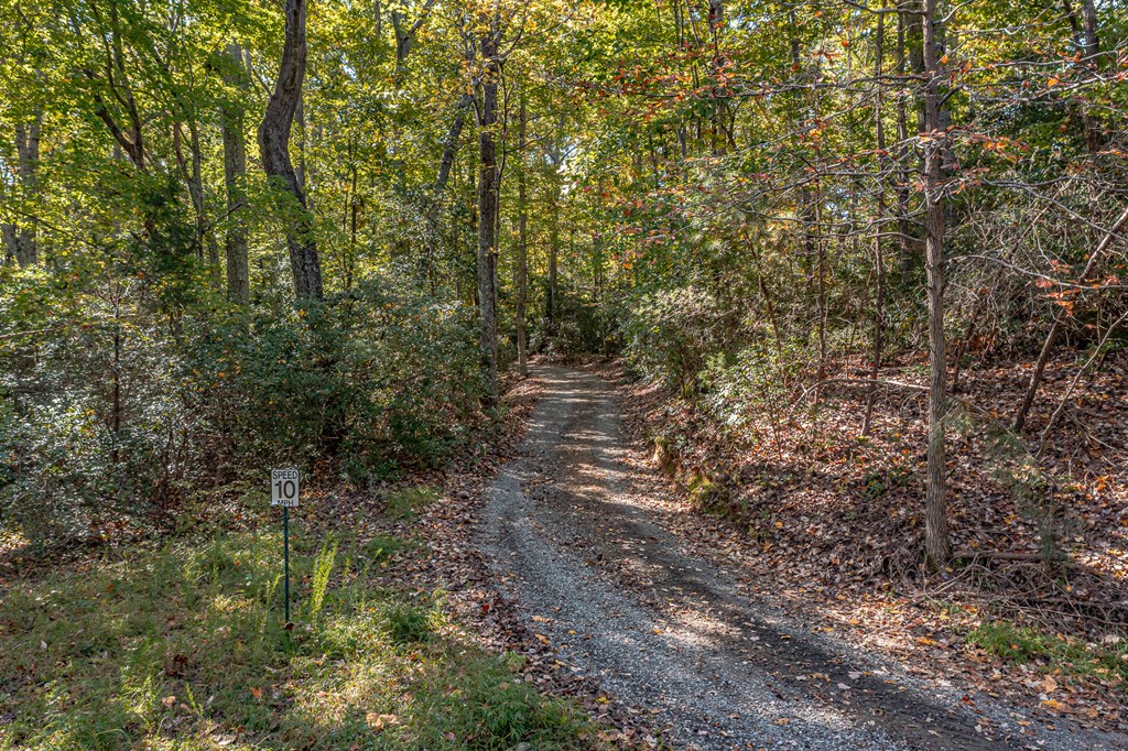 Lot 11D Bogey Neck Road