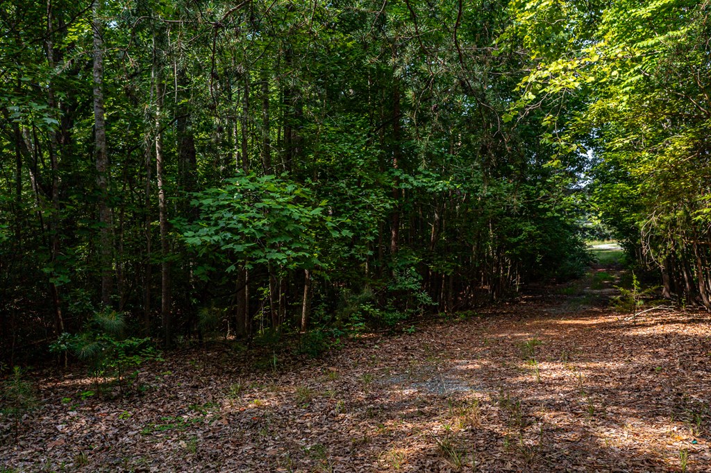 Lot 4&5 Primrose Path