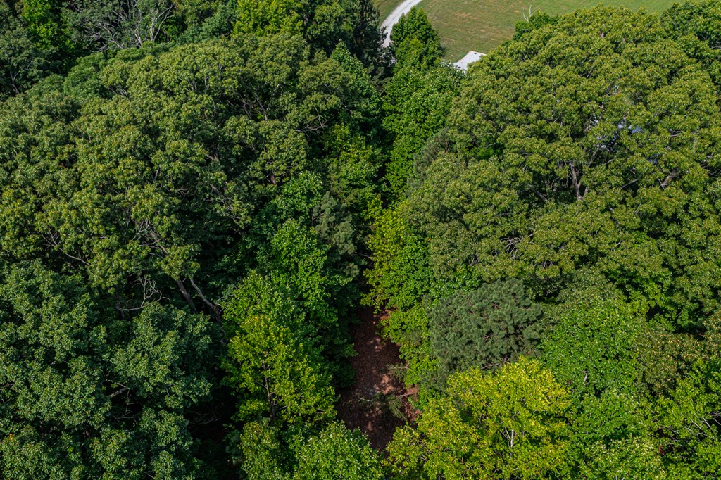 Lot 4&5 Primrose Path