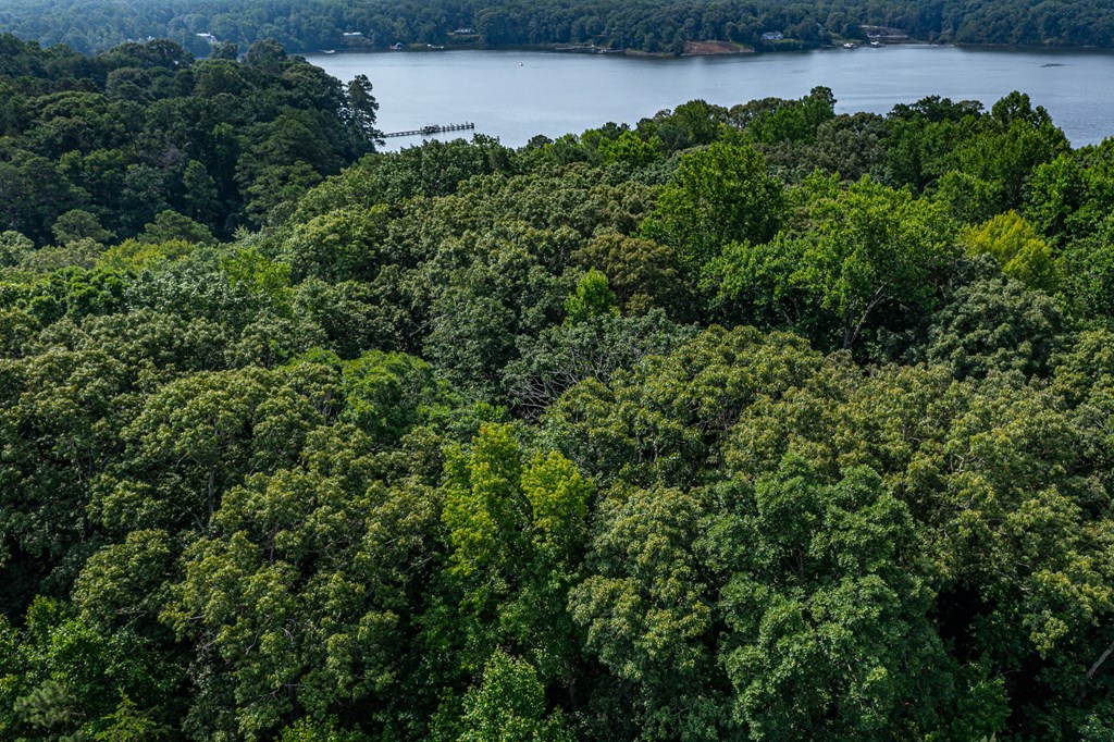 Lot 4&5 Primrose Path