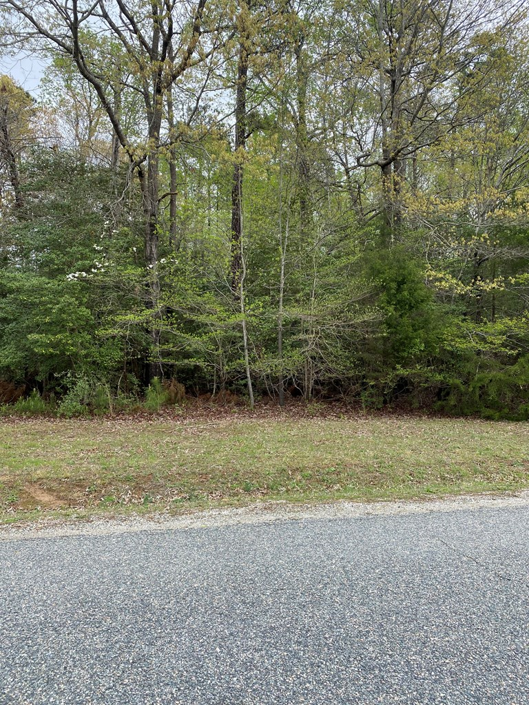 Map 391 Corrotoman Drive