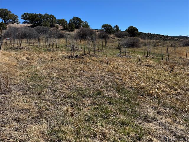 Rural parcel with dry grass, scattered fencing, rolling terrain, and evergreen trees.