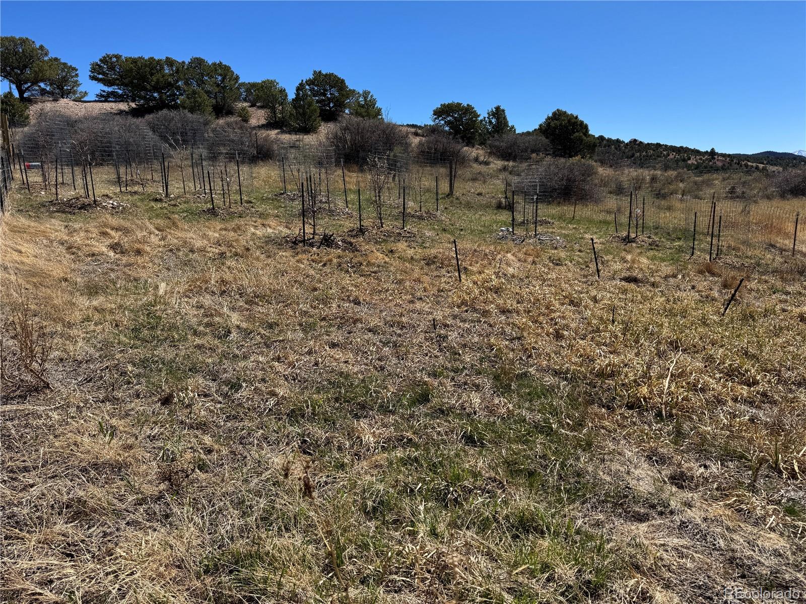 16103 US Highway 285