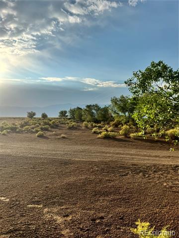 Open acreage with bare earth, scattered shrubs, a leafy tree, and distant mountains.