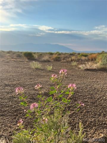 Open dry land with pink wildflowers in the foreground and distant mountains.