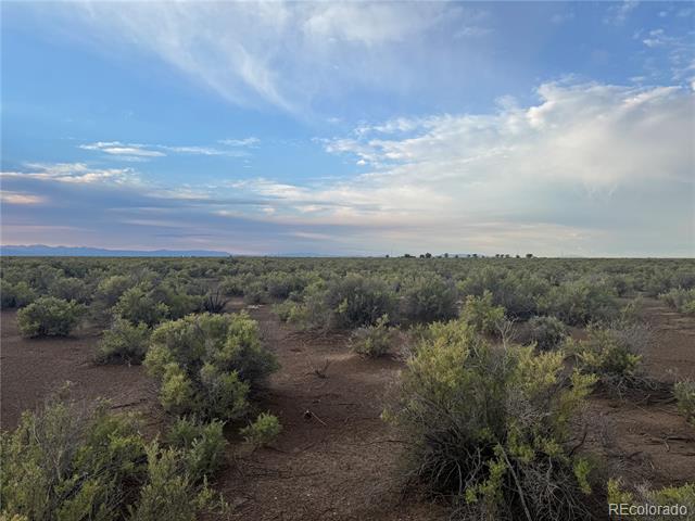 Open scrubland with low shrubs, bare soil, distant mountains, and a broad clouded sky.