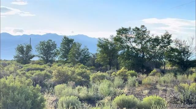 Shrub-covered land with scattered trees and a distant mountain range.