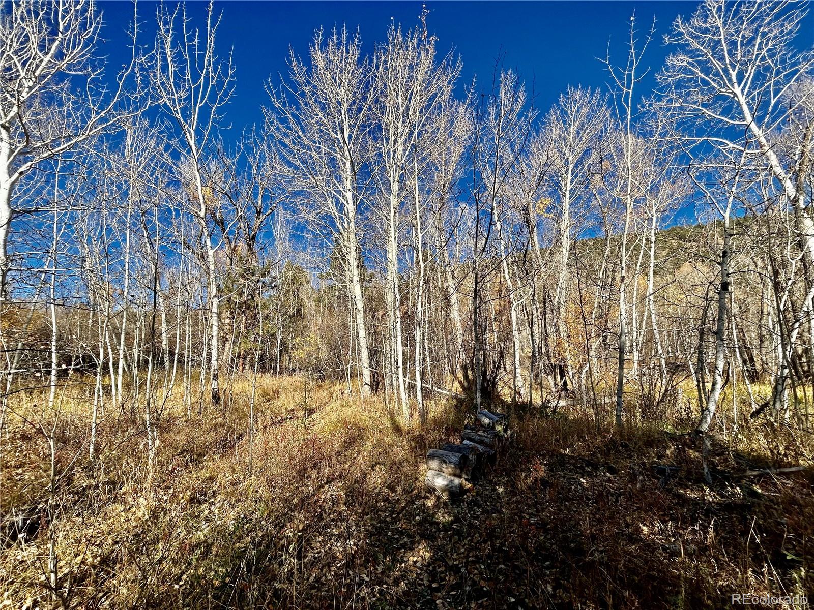 County Road 240 E
