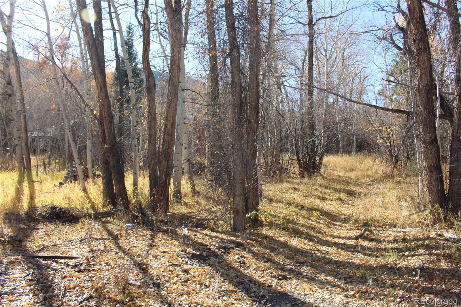 County Road 240 E