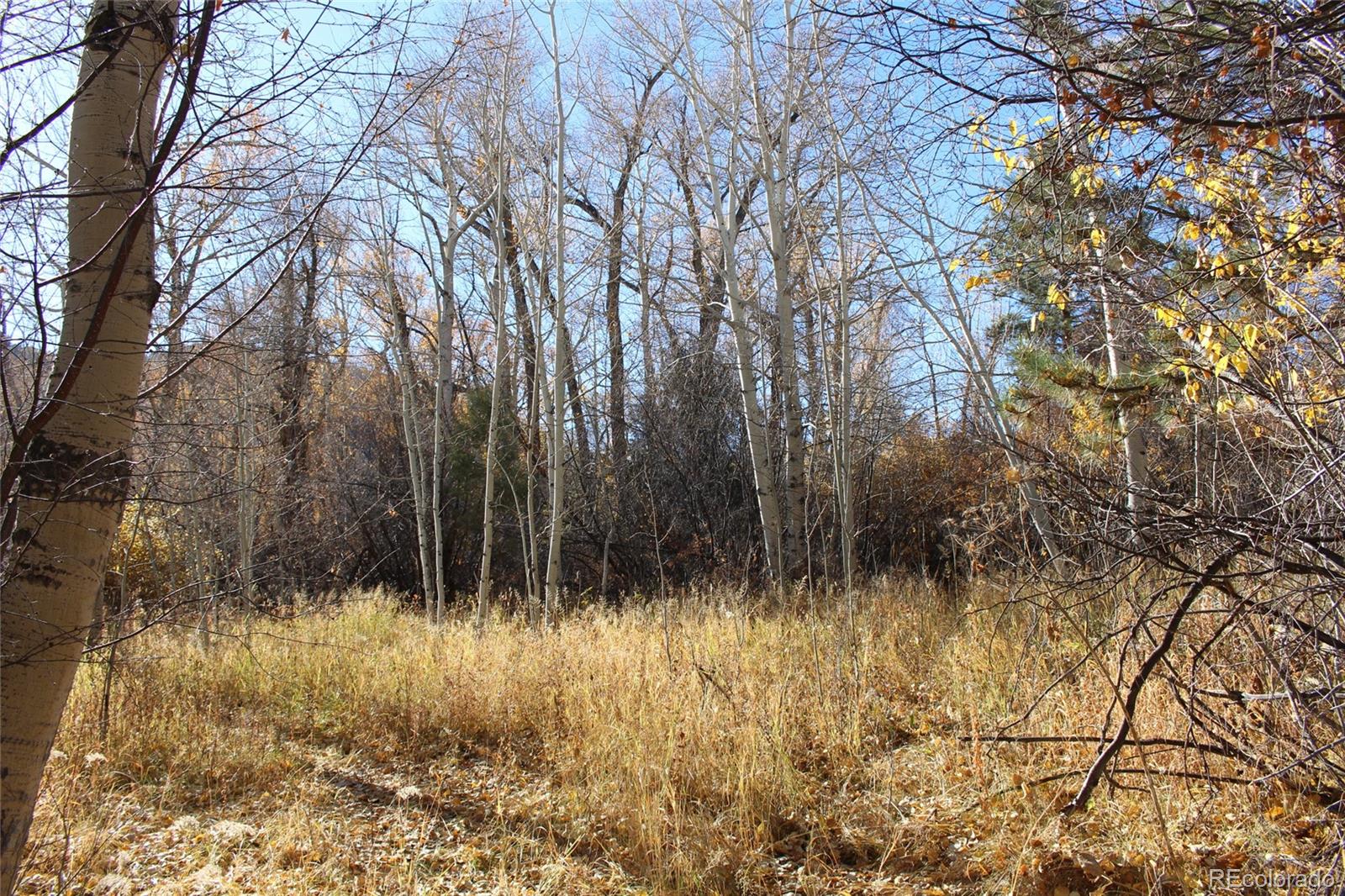 County Road 240 E