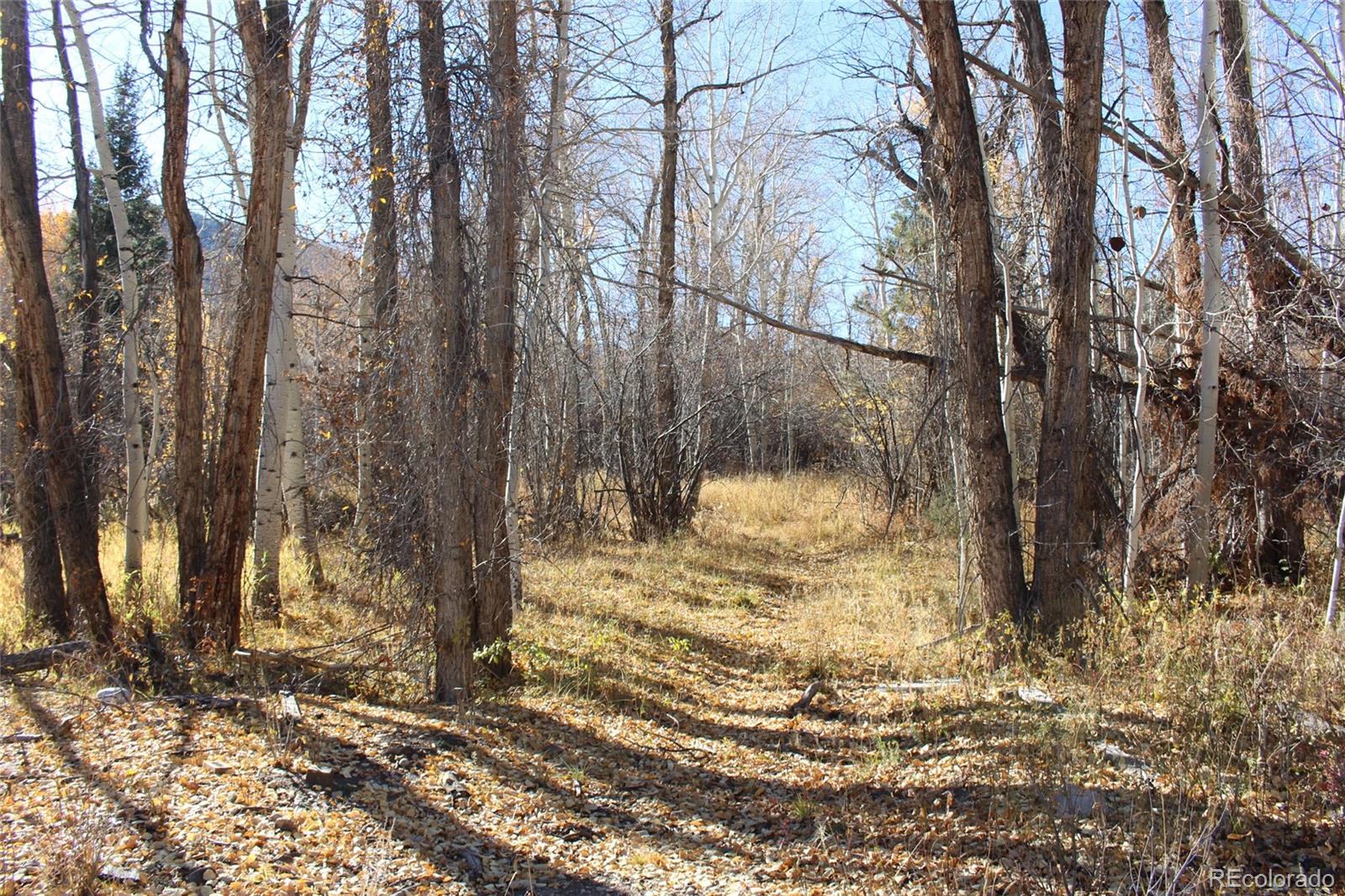 County Road 240 E