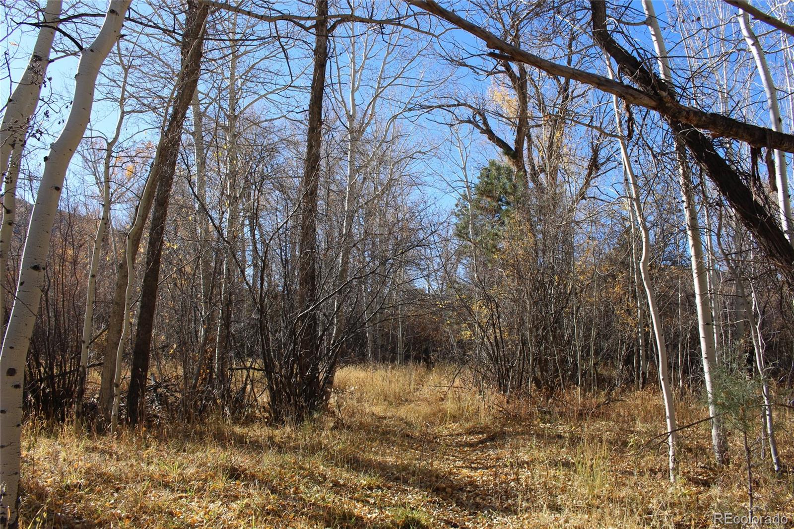 County Road 240 E