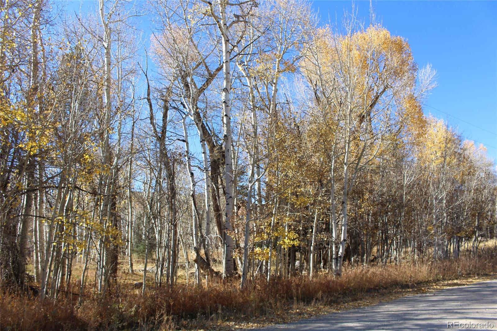 County Road 240 E