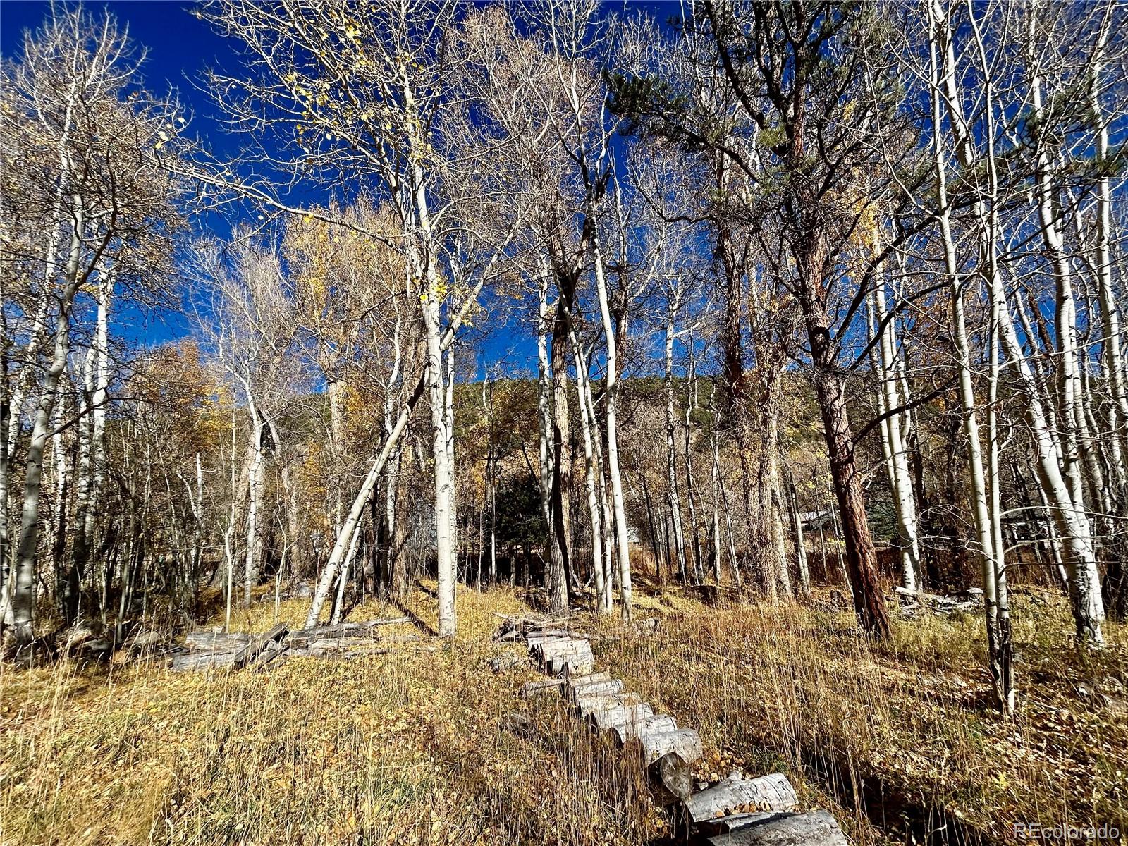 County Road 240 E