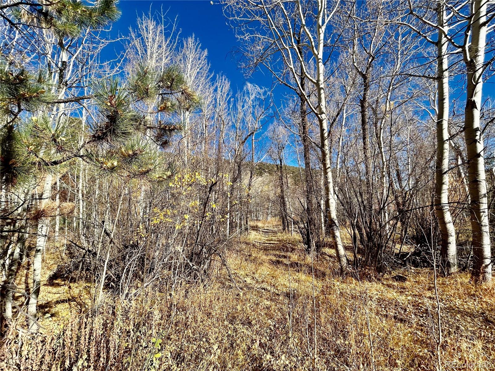County Road 240 E