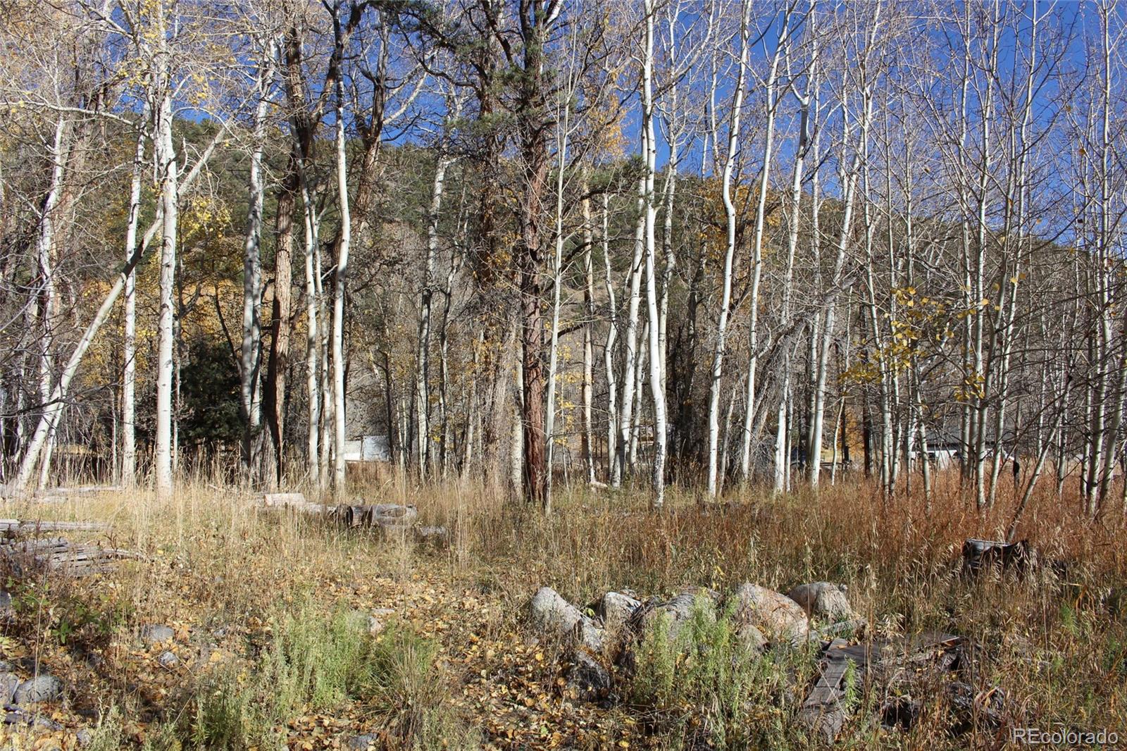 County Road 240 E