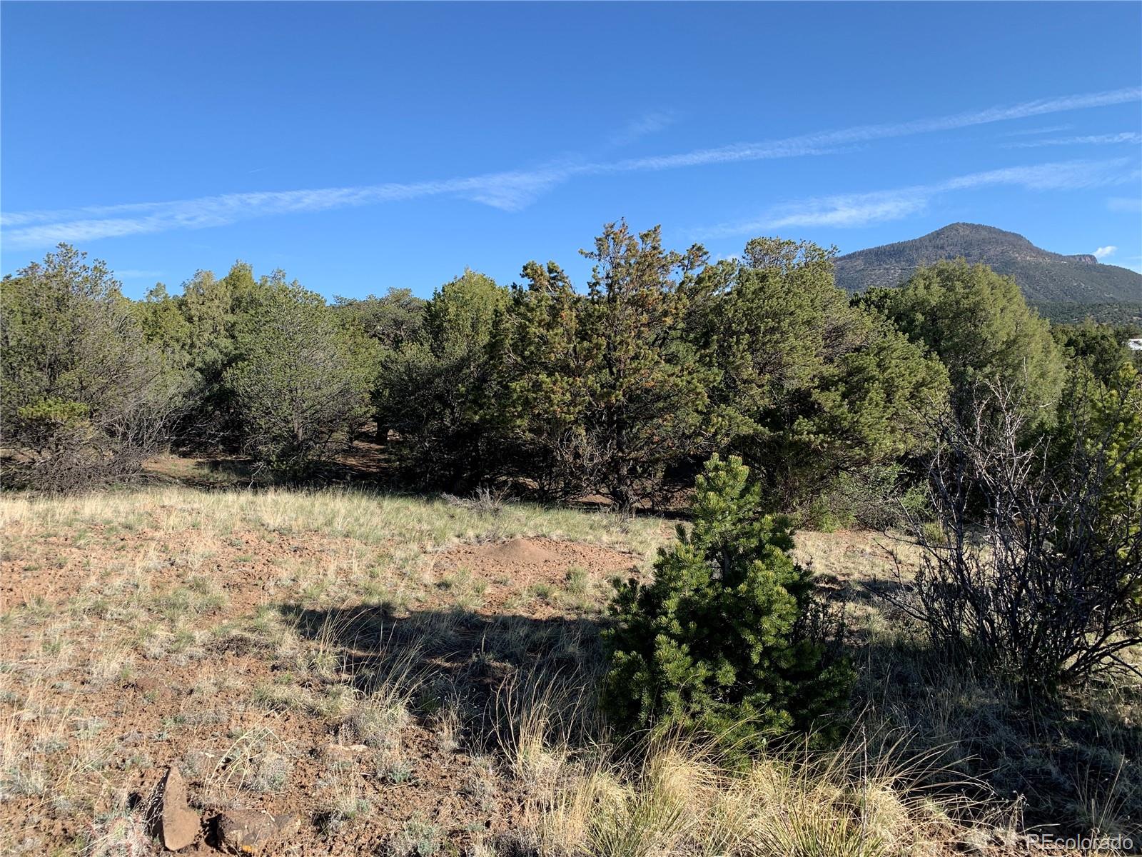 413 Rabbit Ears Road