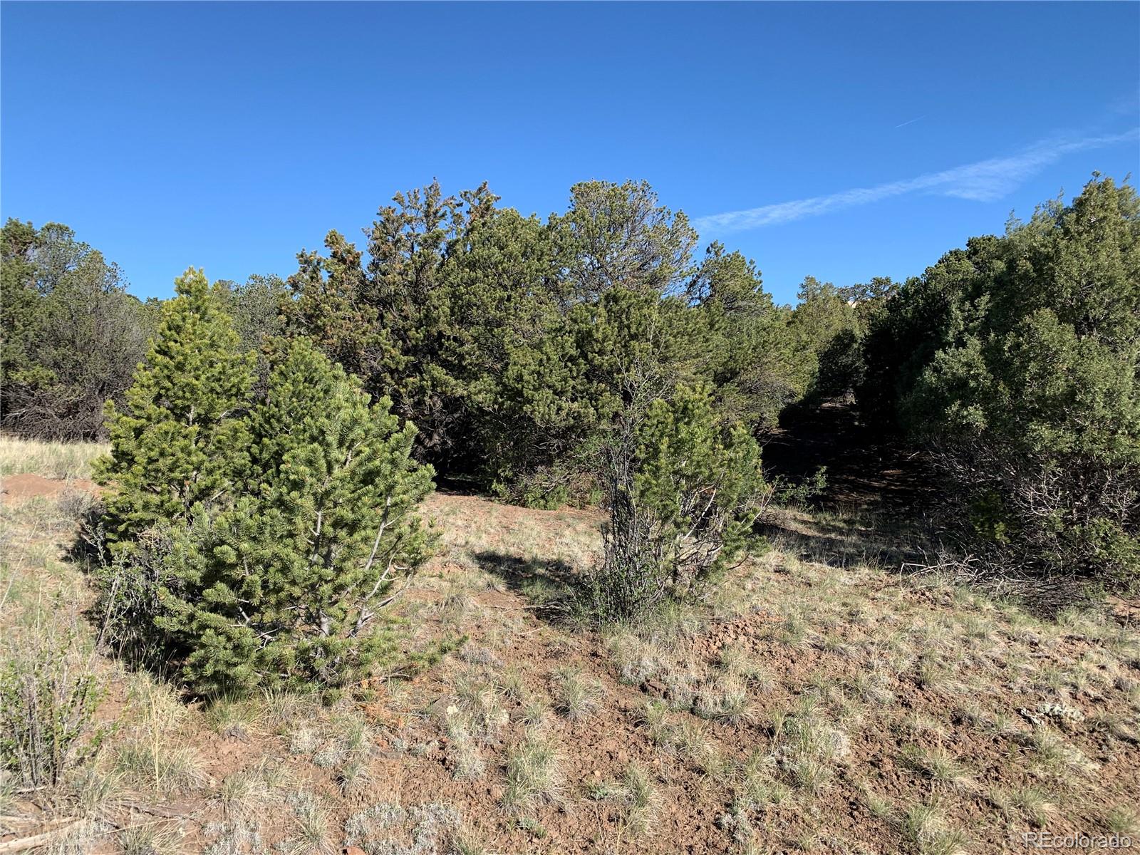 413 Rabbit Ears Road