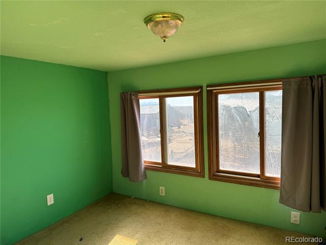 Empty green room with beige carpet, two curtained windows, and a ceiling light.