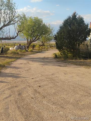 Gravel driveway bordered by mature trees and shrubs, opening onto rural land.