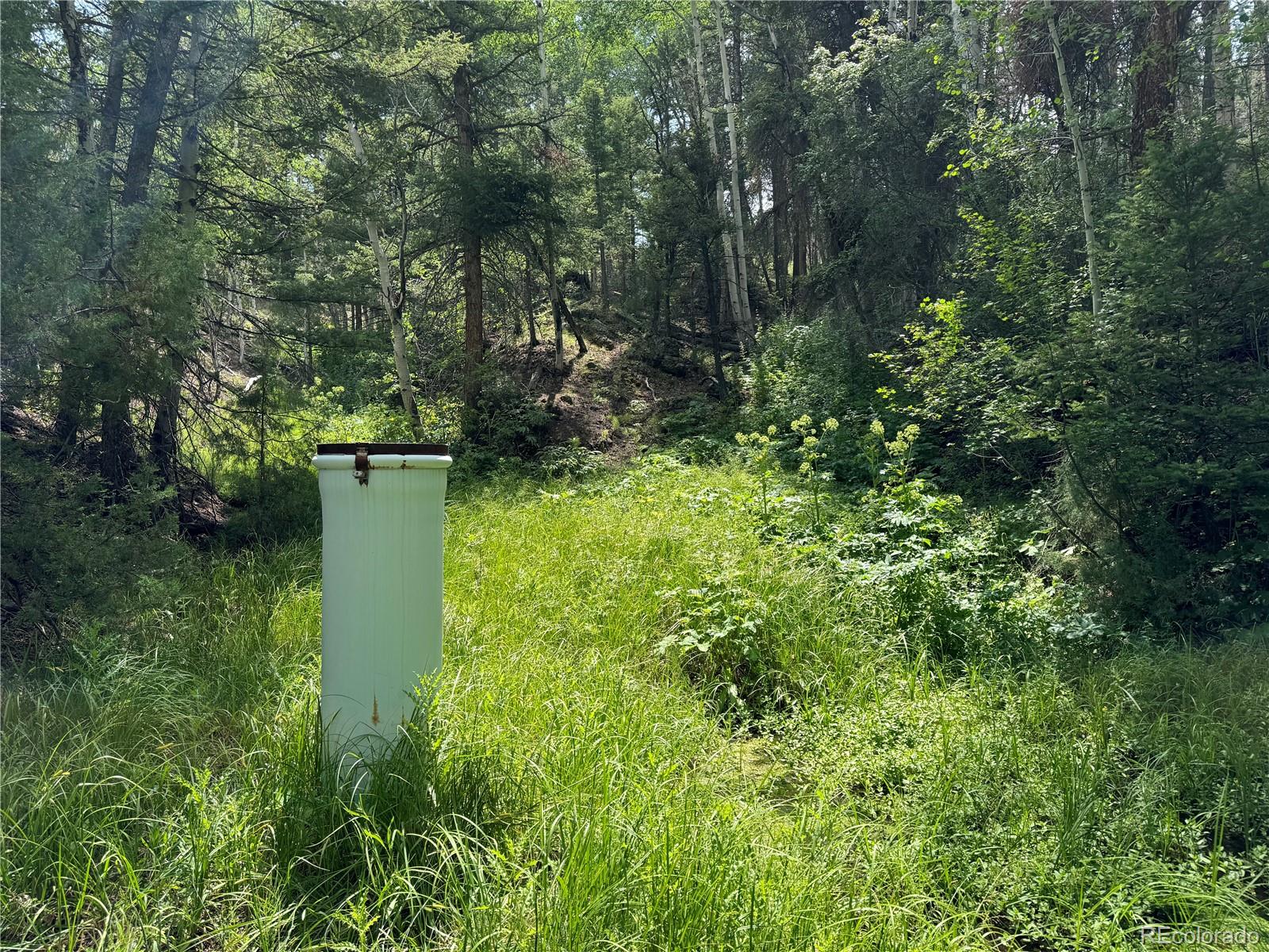 1001 County Road 200
