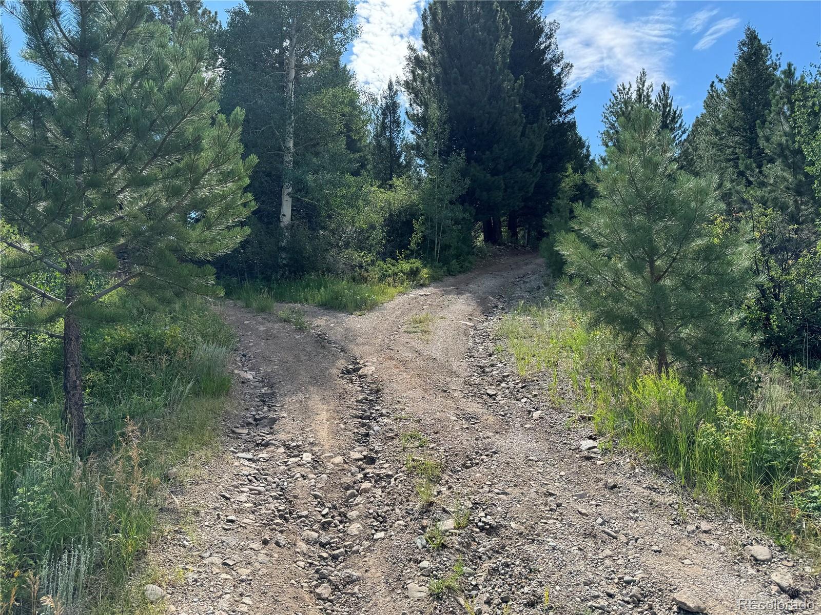 1001 County Road 200