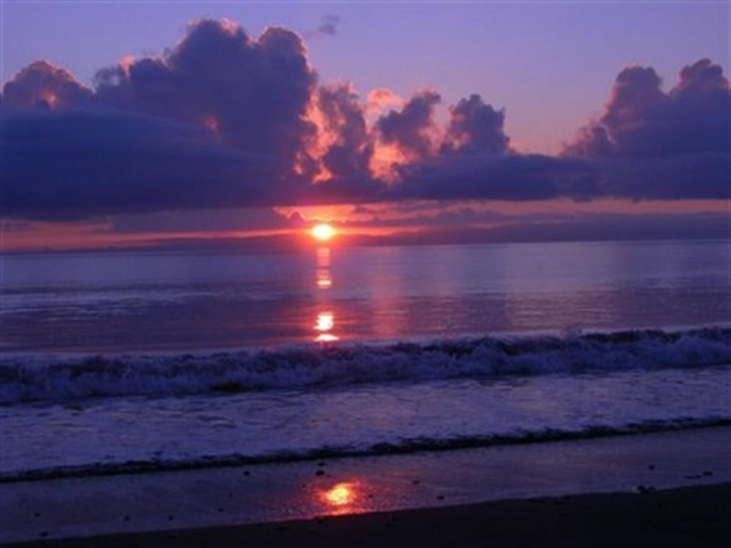 8880 N. Sea Oaks Way 105